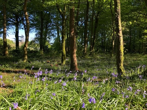 Cycling Dartmoor's Drakes Trail