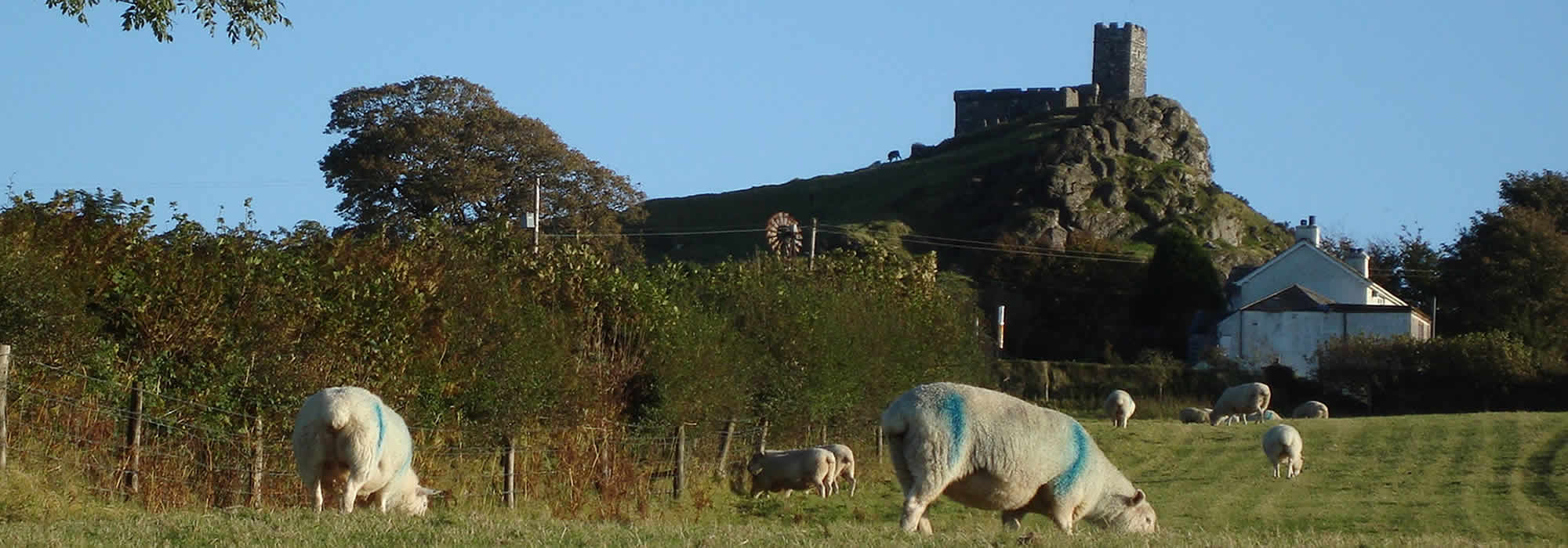 Relax and enjoy the peace and tranquility at Monkstone Cottages, Dartmoor, Devon